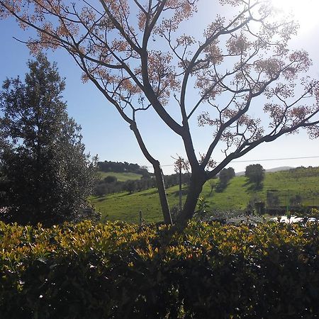 Agriturismo La Poiana Grosseto Ngoại thất bức ảnh
