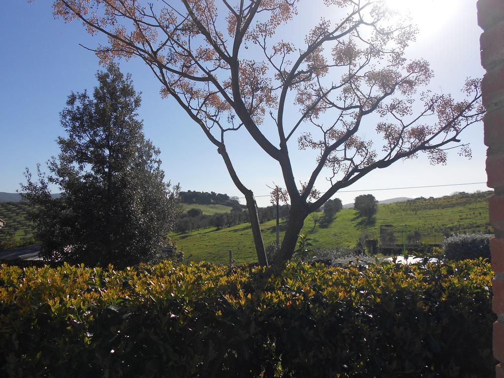 Agriturismo La Poiana Grosseto Ngoại thất bức ảnh
