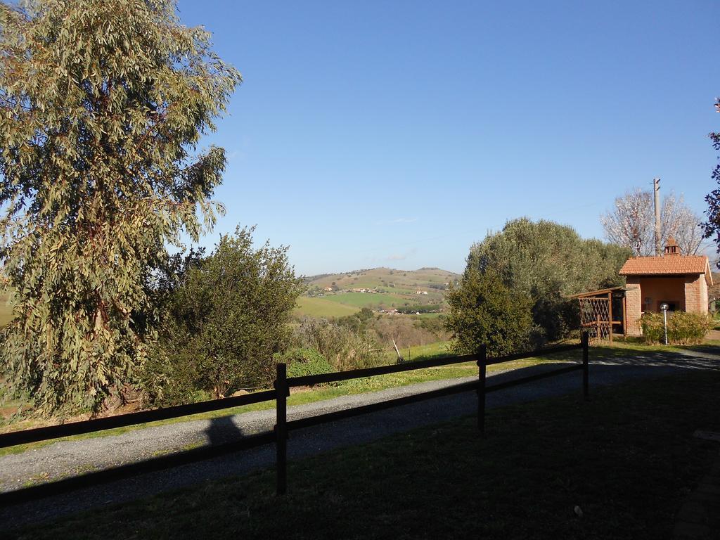 Agriturismo La Poiana Grosseto Ngoại thất bức ảnh
